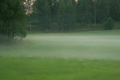 Mist forming over fields at dusk