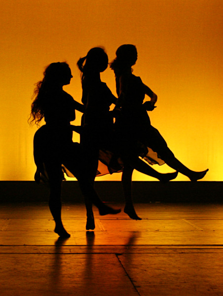 Perspectives - 2008 ADC CUCDW Dance Show