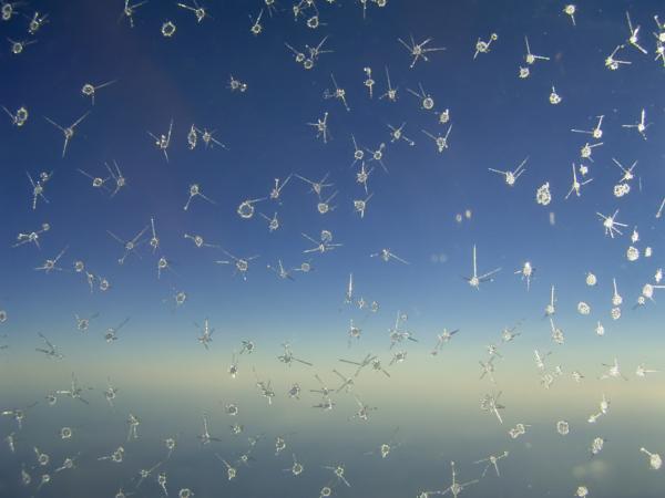 Ice Crystals on Airplane Window
